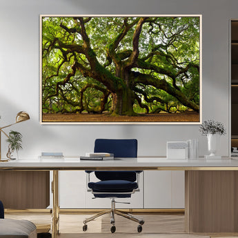 29407-MGV-CV-36X24-Ancient Oak Tree Wall Art – Majestic Nature Canvas Print, Large Tree Photography Decor for Living Room