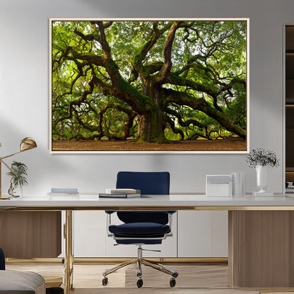 29407-MGV-CV-36X24-Ancient Oak Tree Wall Art – Majestic Nature Canvas Print, Large Tree Photography Decor for Living Room