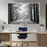 39665-MGV-CV-36X24-Black and White Forest Path Wall Art – Sunlight Rays in Trees Canvas Print, Nature Landscape Decor for Living Room