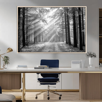 39665-MGV-CV-36X24-Black and White Forest Path Wall Art – Sunlight Rays in Trees Canvas Print, Nature Landscape Decor for Living Room