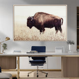 48406-MGV-CV-36X24-American Bison Wall Art – Rustic Buffalo Canvas Print in Prairie Field, Western Wildlife Photography Decor for Cabin, Lodge,