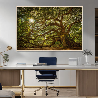 57983-MGV-CV-36X24-Angel Oak Tree Wall Art Canvas Print, Framed Oak Tree Art Picture Print, Angel Oak Perfect Rustic Nature Decor Artwork