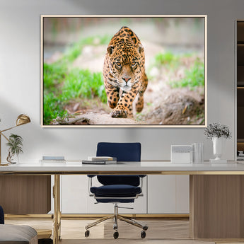 75066-MGV-FC-36X24_Natural-Leopard Wall Art Canvas Print, Framed Wild Animal Art Picture Print, Blue Eye Leopard Perfect Wild Minimal Decor Artwork
