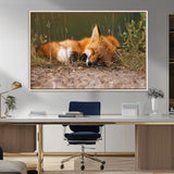 25085-MGV-CV-36X24-Sleeping Fox Wall Art Canvas Print, Framed Rustic Fox Art Picture Print, Wildlife Animal Perfect Rustic Farmhouse Decor Artwork