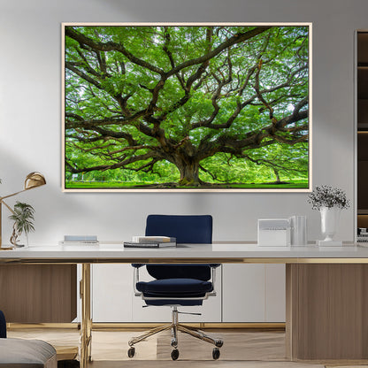 49375306-MGV-FC-36X24_Natural-Ancient Tree Wall Art Canvas Print, Framed Sprawling Branches Art Picture Print, Gnarling Tree Perfect Earthy Natural Decor