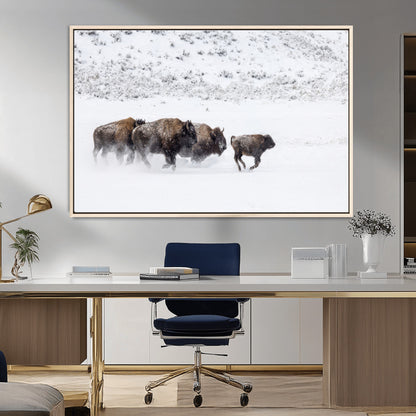 56216945-MGV-FC-36X24_Natural-Bison Herd Decor Wall Art Canvas Print, Framed Snowy Bison Scene Art Picture Print, Winter Wildlife Theme Perfect Rustic Western