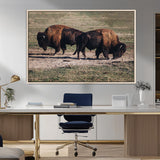 58141885-MGV-FC-36X24_Natural-Bison Photography Wall Art Canvas Print, Framed Western Wildlife Art Picture Print, Modern Ranch Perfect Western Rustic Decor