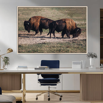 58141885-MGV-FC-36X24_Natural-Bison Photography Wall Art Canvas Print, Framed Western Wildlife Art Picture Print, Modern Ranch Perfect Western Rustic Decor