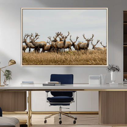 42170220-MGV-FC-36X24_Natural-Elk Herd Wall Art Canvas Print, Framed Wildlife Photography Art Picture Print, Majestic Antlers Perfect Rustic Wildlife Decor