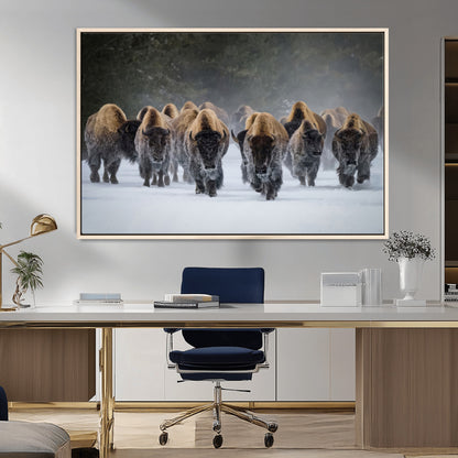 30332489-MGV-CV-36X24-Winter Bison Herd Wall Art – Powerful Buffalo Canvas Print, Rustic Wildlife Photography Decor for Farmhouse, Cabin, Lodge, Living
