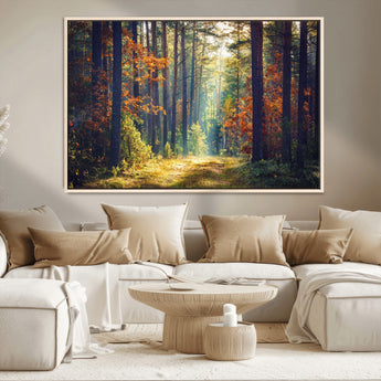 86249-MGV-CV-36X24-Sunlit Autumn Forest Path Wall Art – Peaceful Nature Scene with Fall Foliage, Calming Woods Decor for Home or Office