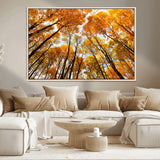 11823-MGV-CV-36X24-Golden Autumn Tree Canopy Wall Art – Stunning Fall Forest Leaves Print, Warm Seasonal Nature Decor for Home, Office or Cabin