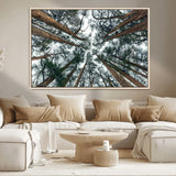18790-MGV-CV-36X24-Pine Canopy Wall Art – Panoramic View of Towering Pines Canvas Print, Nature-Inspired Decor for Office, Cabin or Living Room