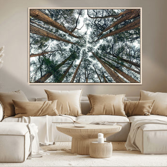 18790-MGV-CV-36X24-Pine Canopy Wall Art – Panoramic View of Towering Pines Canvas Print, Nature-Inspired Decor for Office, Cabin or Living Room