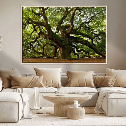 29407-MGV-CV-36X24-Ancient Oak Tree Wall Art – Majestic Nature Canvas Print, Large Tree Photography Decor for Living Room or Office