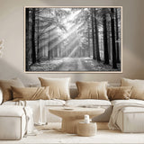 39665-MGV-CV-36X24-Black and White Forest Path Wall Art – Sunlight Rays in Trees Canvas Print, Nature Landscape Decor for Living Room or Office
