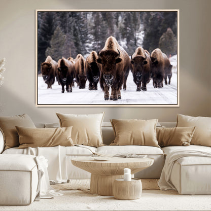 66871-MGV-CV-36X24-Bison Herd Wall Art – Wildlife Buffalo Canvas Print, Rustic Western Nature Photography Decor for Living Room, Office, Cabin, or