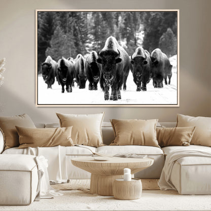 62434-MGV-CV-36X24-Bison Herd Wall Art – Majestic Black and White Buffalo Canvas Print, Wildlife Nature Photography Decor for Living Room, Office or