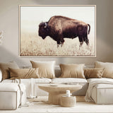 48406-MGV-CV-36X24-American Bison Wall Art – Rustic Buffalo Canvas Print in Prairie Field, Western Wildlife Photography Decor for Cabin, Lodge,