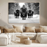 45287-MGV-CV-36X24-Bison Herd Wall Art – Black and White Buffalo Snow Road Canvas Print, Rustic Wildlife Decor for Cabin, Lodge or Living Room