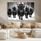 79872-MGV-CV-36X24-Bison Herd Wall Art – Black and White Buffalo on Snow Canvas Print, Rustic Wildlife Decor for Lodge, Cabin, or Living Room