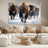 80512-MGV-CV-36X24-Bison Herd Wall Art – Buffalo Running in Snow Canvas Print, Rustic Wildlife Photography Decor for Cabin, Lodge, or Living Room