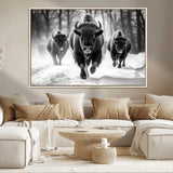 97552-MGV-CV-36X24-Black and White Bison Wall Art – Buffalo Herd Running in Snow Canvas Print, Rustic Wildlife Photography Decor for Cabin, Lodge, or
