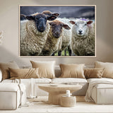 18418-MGV-CV-36X24-Sheep Wall Art Canvas Print, Framed Farmhouse Sheep Art Picture Print, Sheep Herd Perfect Rustic Farmhouse Decor Artwork