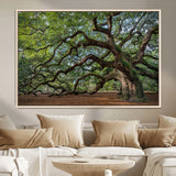 MGV-FC-36X24 - Historic Tree Wall Art Canvas Print, Framed Mossy Tree Art Picture Print, Twisted Branches Perfect Nature Southern Decor Artwork
