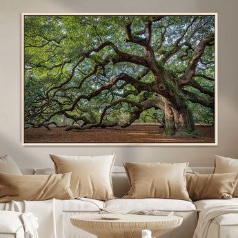MGV-FC-36X24 - Historic Tree Wall Art Canvas Print, Framed Mossy Tree Art Picture Print, Twisted Branches Perfect Nature Southern Decor Artwork