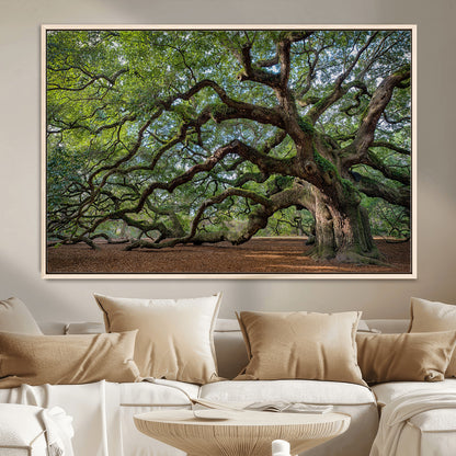MGV-FC-36X24 - Historic Tree Wall Art Canvas Print, Framed Mossy Tree Art Picture Print, Twisted Branches Perfect Nature Southern Decor Artwork