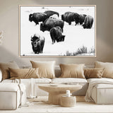 18914414-MGV-CV-36X24-Buffalo Herd Wall Art Canvas Print, Framed Black and White Art Picture Print, Snowy Landscape Perfect Rustic Lodge Decor Decor