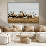 42170220-MGV-CV-36X24-Elk Herd Wall Art Canvas Print, Framed Wildlife Photography Art Picture Print, Majestic Antlers Perfect Rustic Wildlife Decor