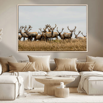 42170220-MGV-CV-36X24-Elk Herd Wall Art Canvas Print, Framed Wildlife Photography Art Picture Print, Majestic Antlers Perfect Rustic Wildlife Decor