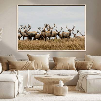 42170220-MGV-CV-36X24-Elk Herd Wall Art Canvas Print, Framed Wildlife Photography Art Picture Print, Majestic Antlers Perfect Rustic Wildlife Decor