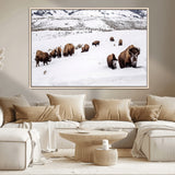 38217250-MGV-CV-36X24-Bison Herd Wall Art – Wildlife Canvas Print of Buffalo Winter Snow Scene, Rustic Western Lodge Décor, Farmhouse & Cabin Nature