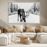 38956835-MGV-CV-36X24-Moose Winter Snowy Forest Canvas Wall Art – Wildlife Nature, Antlers in Frozen Landscape, Quiet Path, Cold Season Outdoors Print