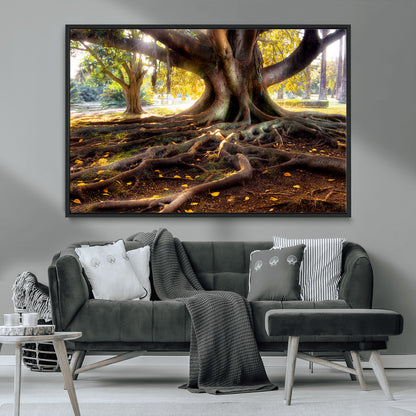 53335-MGV-CV-36X24-Majestic Tree with Sprawling Roots Wall Art – Serene Sunlit Park Scene, Nature Canvas Print, Perfect for Living Room, Office or