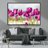 30632-MGV-CV-36X24-Purple Tulip Field Wall Art – Beautiful Spring Flowers Canvas Print with Soft Focus and Bright Sky, Ideal Floral Decor for Home or