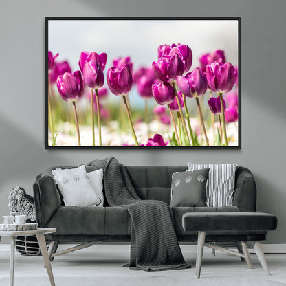 30632-MGV-CV-36X24-Purple Tulip Field Wall Art – Beautiful Spring Flowers Canvas Print with Soft Focus and Bright Sky, Ideal Floral Decor for Home or
