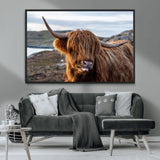 71222-MGV-CV-36X24-A playful Highland cow with shaggy fur sticks out its tongue, set against a rugged landscape — perfect for quirky home or office
