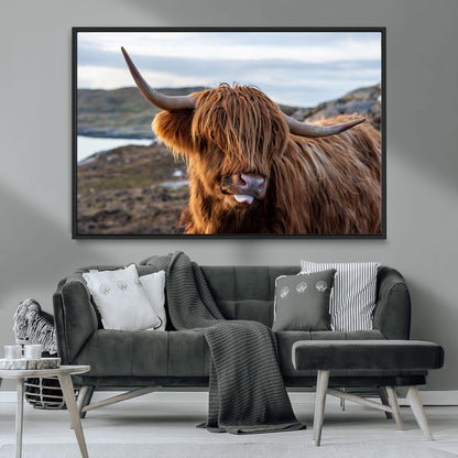 71222-MGV-CV-36X24-A playful Highland cow with shaggy fur sticks out its tongue, set against a rugged landscape — perfect for quirky home or office