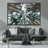 18790-MGV-CV-36X24-Pine Canopy Wall Art – Panoramic View of Towering Pines Canvas Print, Nature-Inspired Decor for Office, Cabin or Living Room