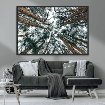 18790-MGV-CV-36X24-Pine Canopy Wall Art – Panoramic View of Towering Pines Canvas Print, Nature-Inspired Decor for Office, Cabin or Living Room
