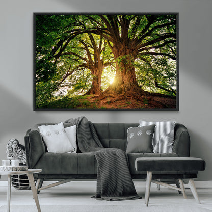 52150-MGV-FC-36X24_Black-Majestic Tree Wall Art – Large Nature Canvas Print with Sunlight Through Branches, Rustic Forest Decor for Living Room, Bedroom or