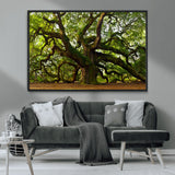 29407-MGV-CV-36X24-Ancient Oak Tree Wall Art – Majestic Nature Canvas Print, Large Tree Photography Decor for Living Room or Office