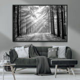 39665-MGV-FC-36X24_Black-Black and White Forest Path Wall Art – Sunlight Rays in Trees Canvas Print, Nature Landscape Decor for Living Room