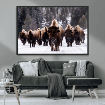 66871-MGV-FC-36X24_Black-Bison Herd Wall Art – Wildlife Buffalo Canvas Print, Rustic Western Nature Photography Decor for Living Room, Office, Cabin, or