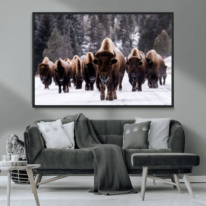 66871-MGV-FC-36X24_Black-Bison Herd Wall Art – Wildlife Buffalo Canvas Print, Rustic Western Nature Photography Decor for Living Room, Office, Cabin, or