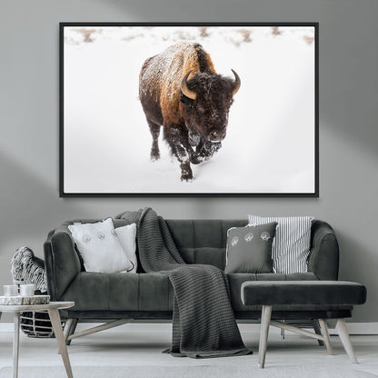 19889-MGV-FC-36X24_Black-Snow Bison Wall Art – Majestic Buffalo Winter Landscape Canvas Print, Rustic Wildlife Photography Decor for Cabin, Lodge, Living